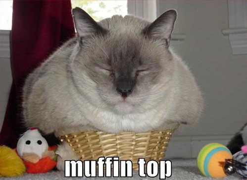 Muffin top cat1