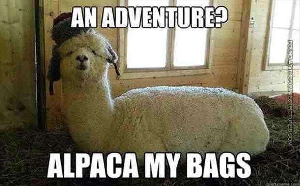 Alpaca my bags