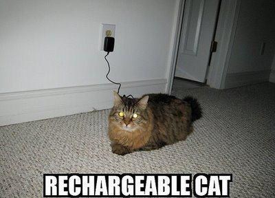 Rechargeable cat